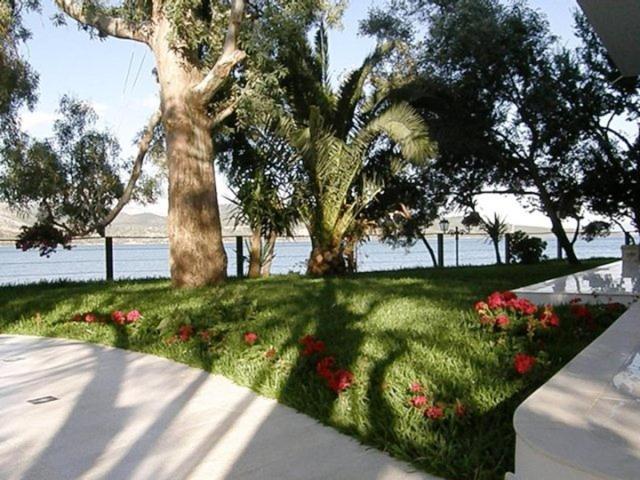 Tzeni Villa Lygia  Bagian luar foto