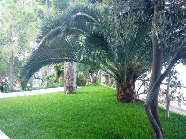 Tzeni Villa Lygia  Bagian luar foto